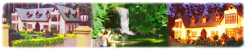 mt tamborine mountain accommodation gold coast accommodation mt tamborine tamborine mountain Stonehaven Manor